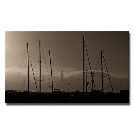 Trademark Fine Art Ariane Moshayedi 'Where's the Gate Again' Canvas Art, 22x32 AM0087-C2232GG
